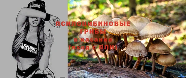 трава Аркадак