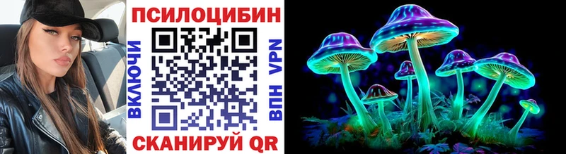 Галлюциногенные грибы Cubensis  blacksprut tor  Горбатов 