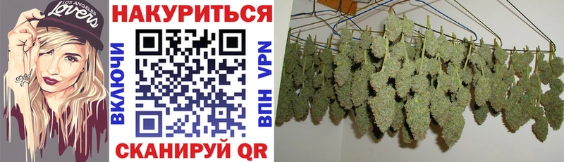 Конопля конопля Горбатов